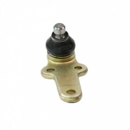 PIVO INF FOCUS 01/08 LD/LE