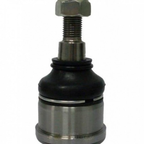 PIVO INF CIVIC 01/... LD/LE