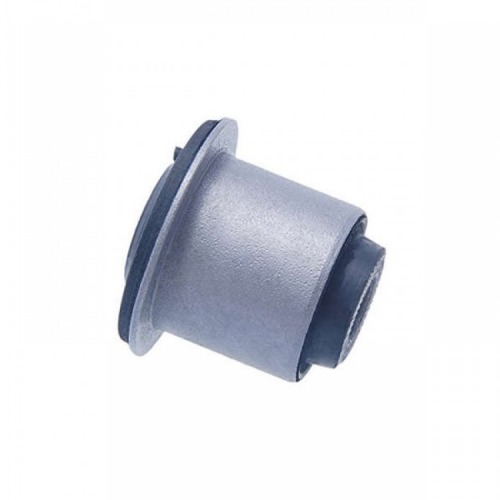BUCHA BAND DIANT DUSTER/OROCH 1.6/2.0 12/..