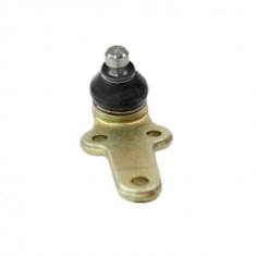 PIVO INF FOCUS 01/08 LD/LE