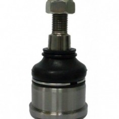 PIVO INF CIVIC 01/... LD/LE